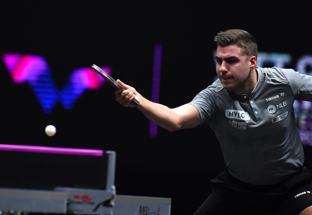 疑为国王敲 疑为国王敲