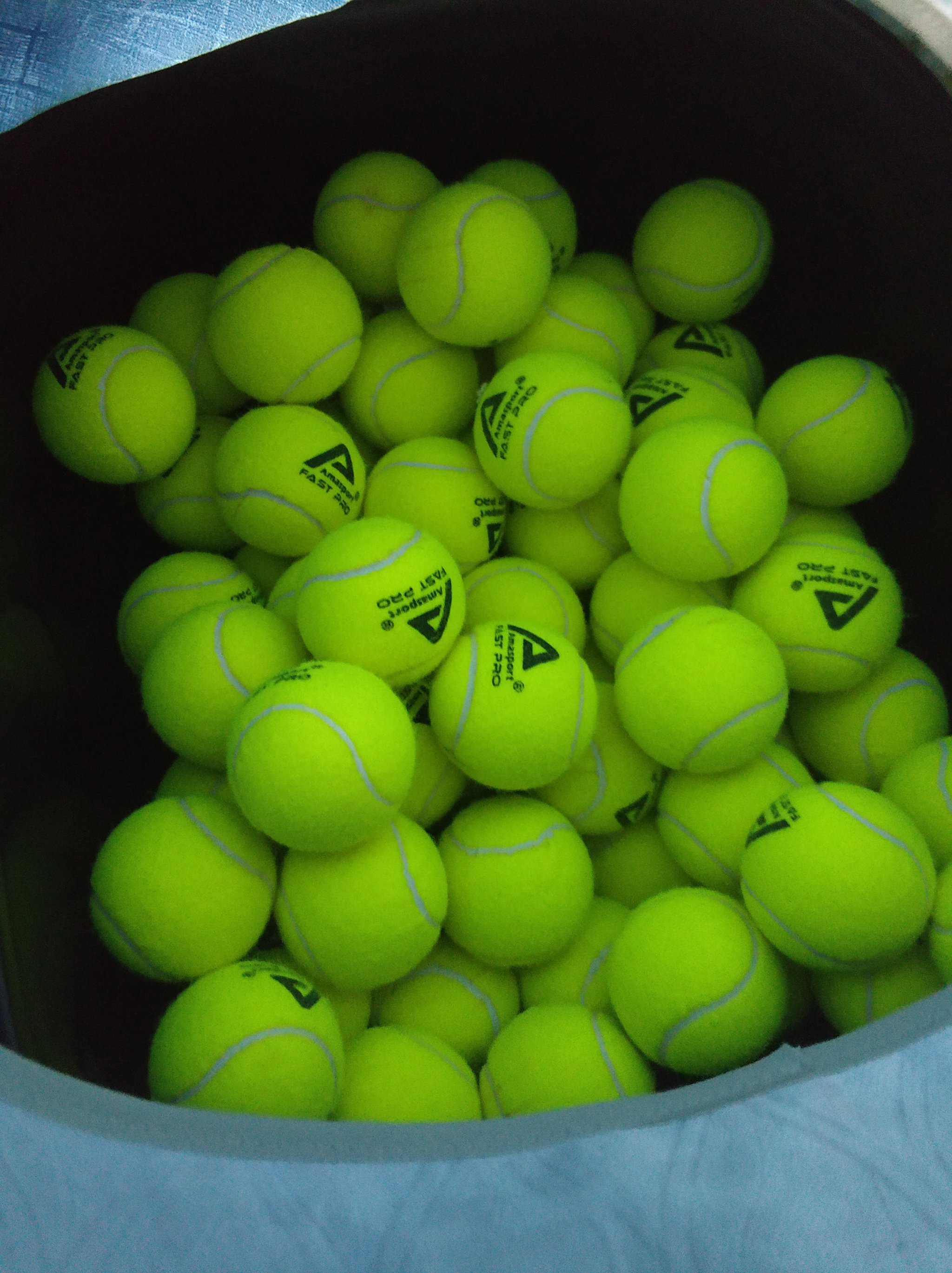 只为小克一 只为小克一